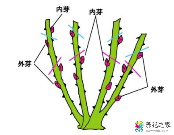 ¼ԽԽʲô취